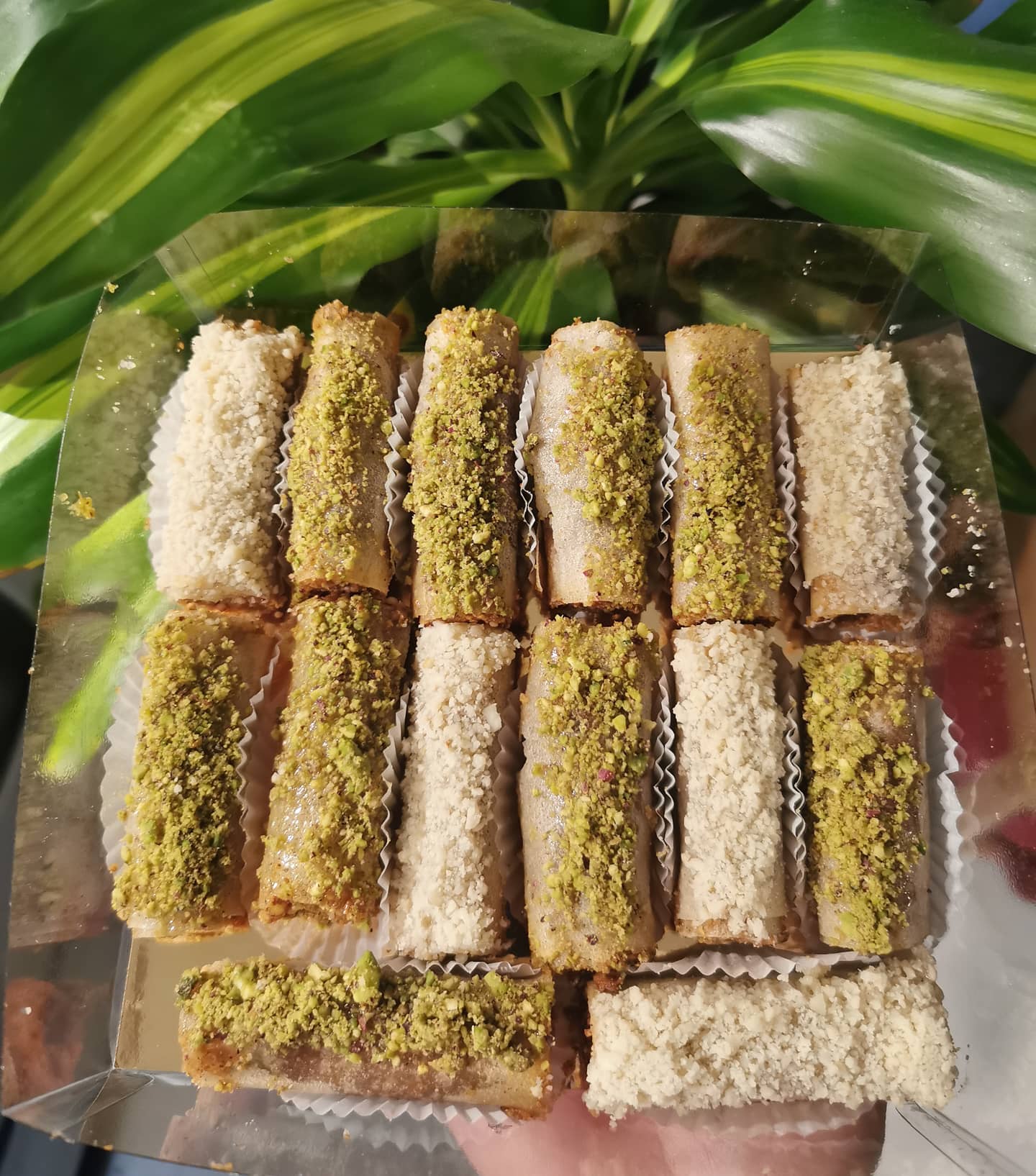 محنشة فواكه مجففة